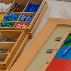 Montessori Eğitimi Nedir? Montessori Eğitimi Nedir?